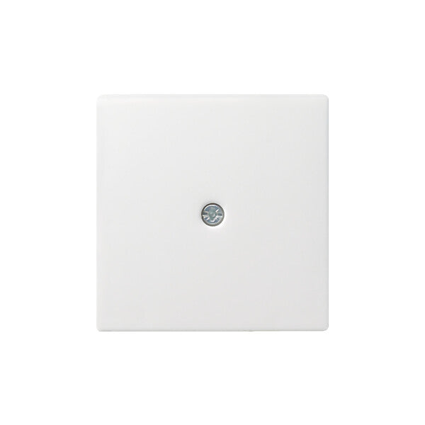 Gira Zentralpl.Schnurabl. rws System55 027427